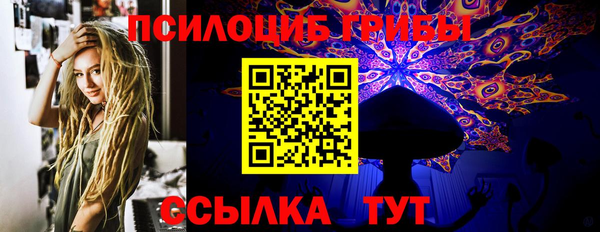 Псилоцибиновые грибы Psilocybe  Вход с VPN  Вятские Поляны  цена наркотик  Псилоцибиновые грибы мухоморы 