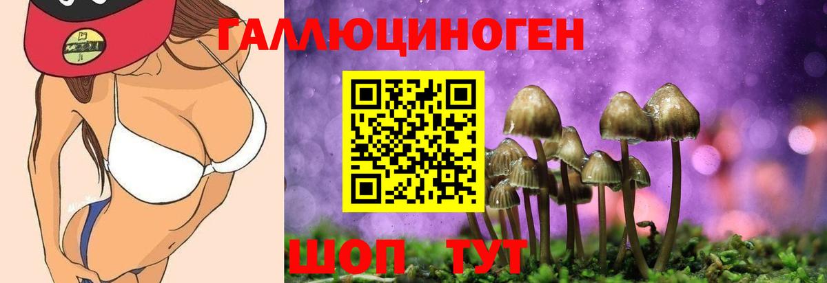 Псилоцибиновые грибы Psilocybe Вятские Поляны
